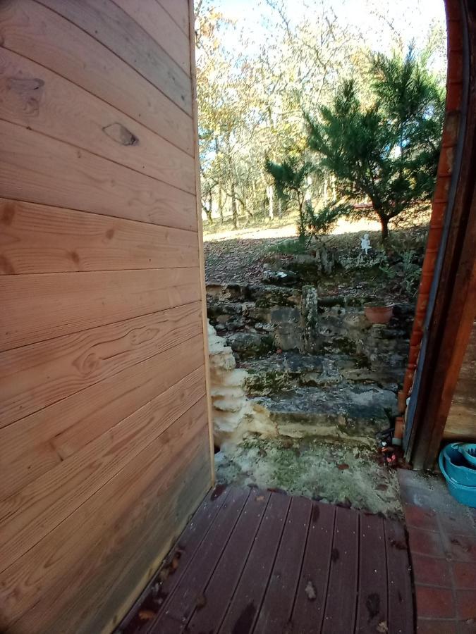 Maison Dans Un Ecrin De Verdure Saint-Leon-sur-Vezere Eksteriør billede